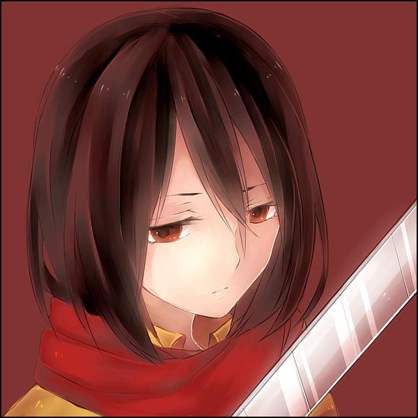 Mikasa　進撃の巨人 (31)