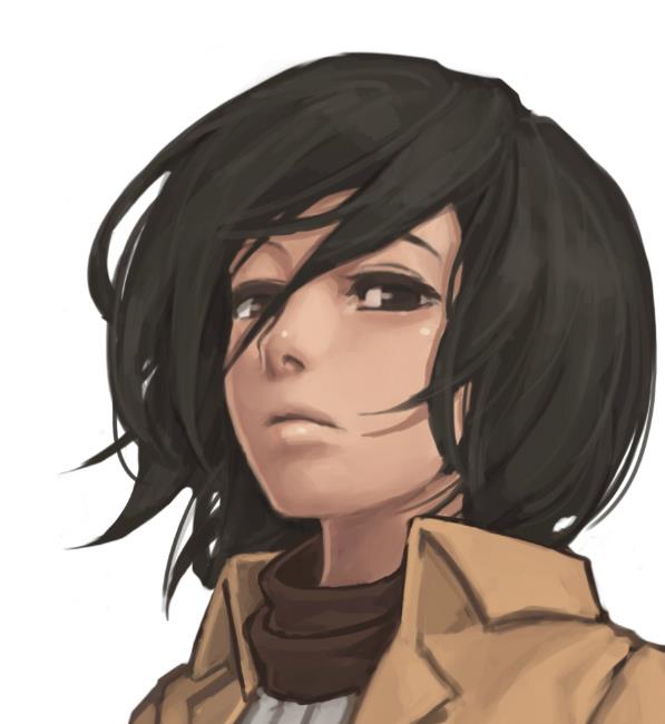 Mikasa　進撃の巨人 (49)